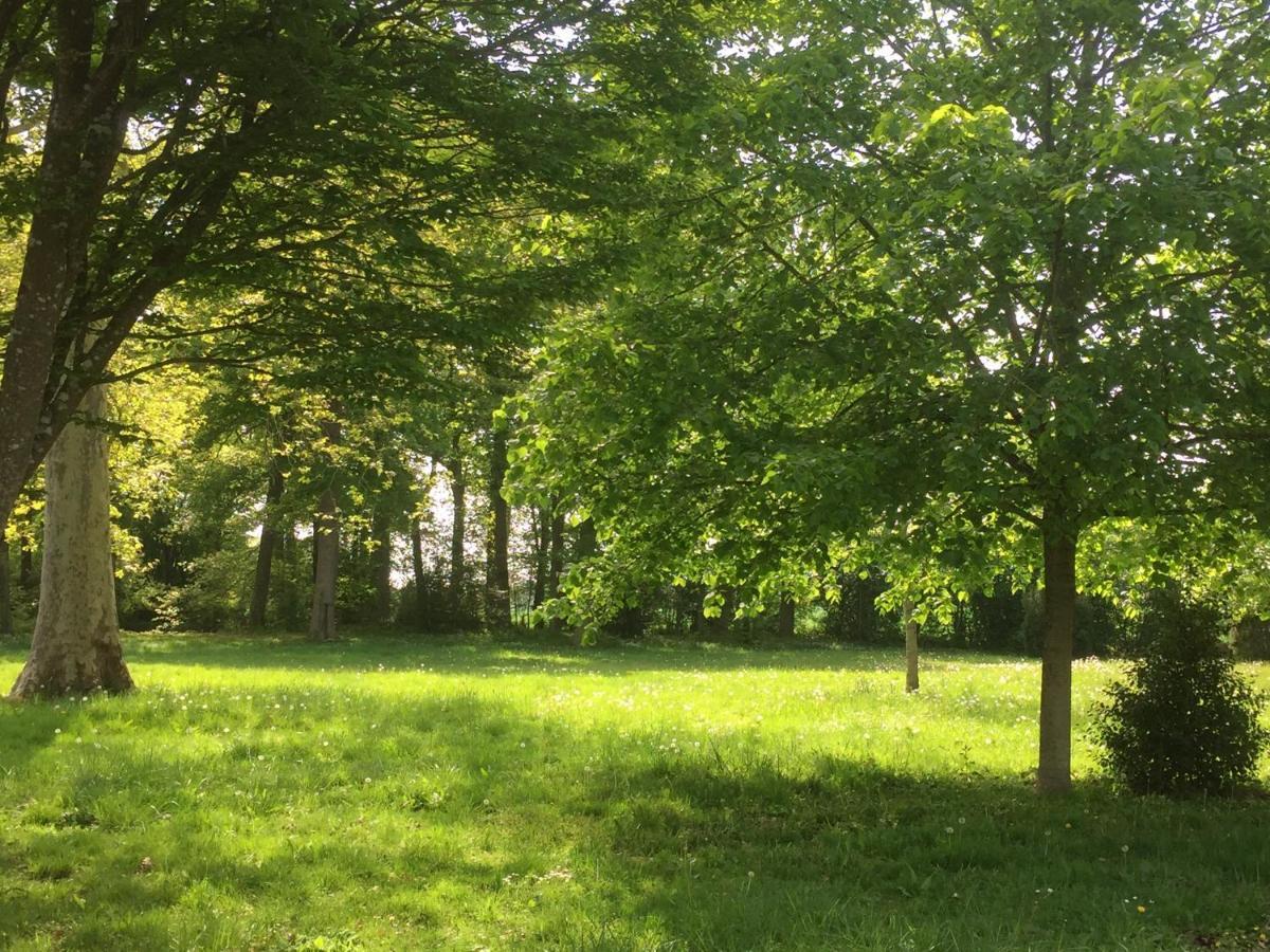 Le Rucher Bois-Normand-près-Lyre Extérieur photo