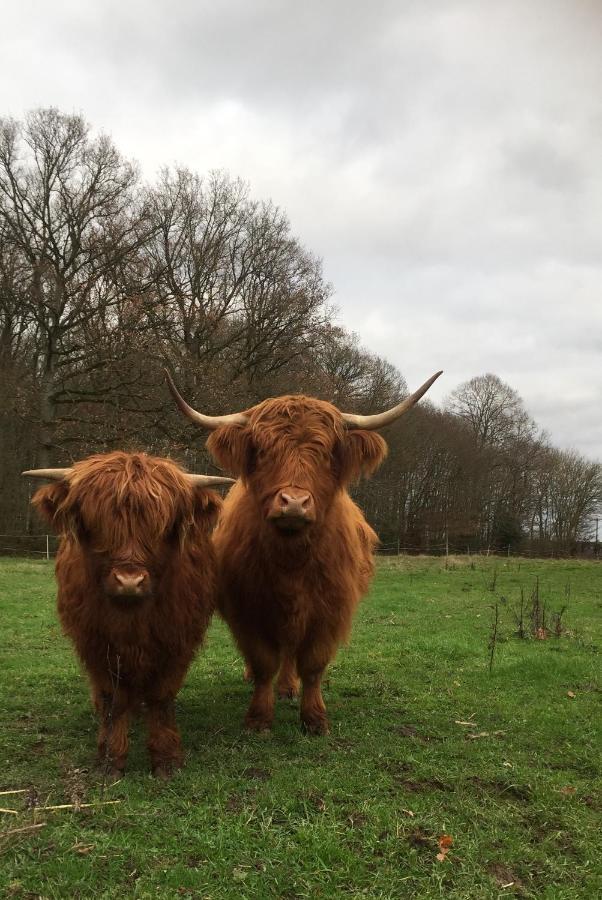Le Rucher Bois-Normand-près-Lyre Extérieur photo